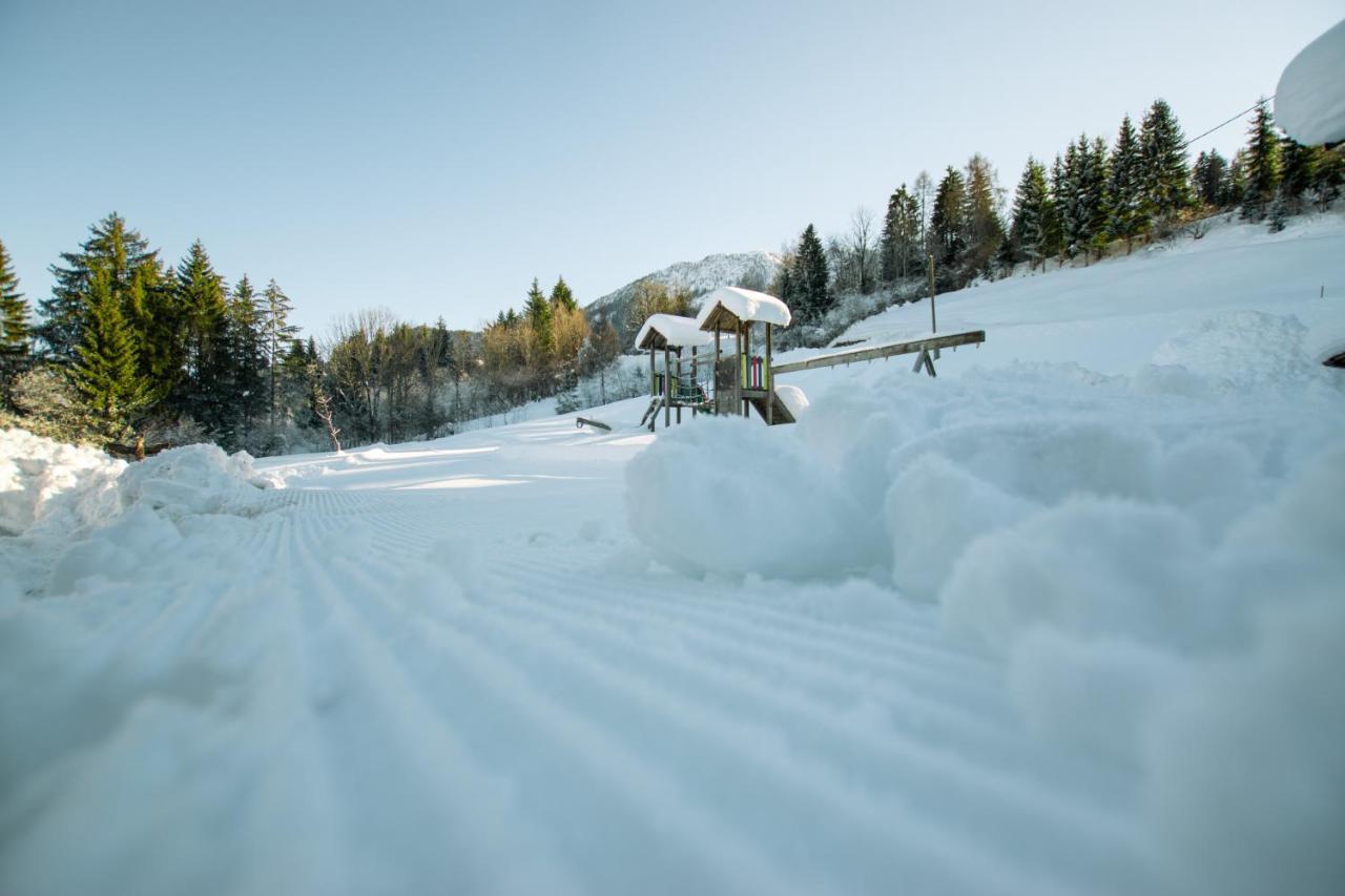 Chalets Und Apartments Hauserhof Nassfeld Шланитцен Экстерьер фото